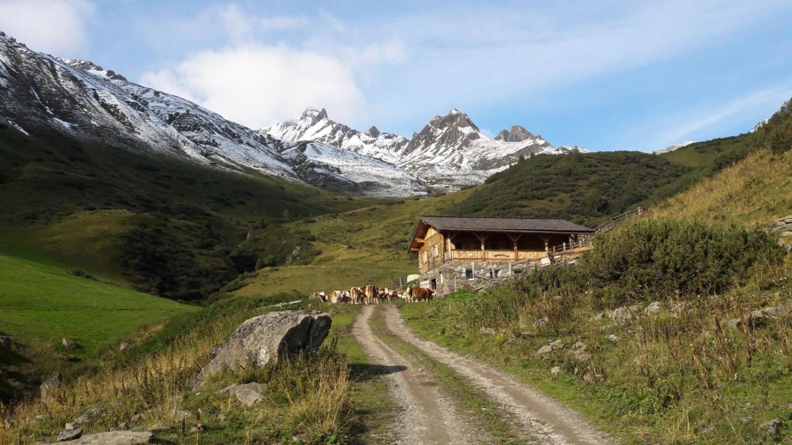 Mooserhof Кампо Турес Екстериор снимка